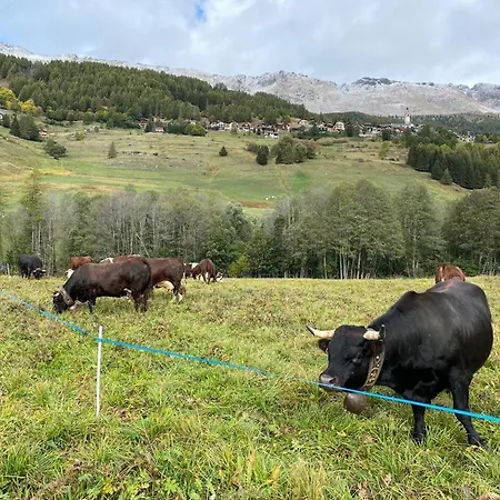Lägenhet The Snow - Panoramico Con Balcone Champoluc